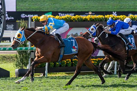 kranji horse racing odds